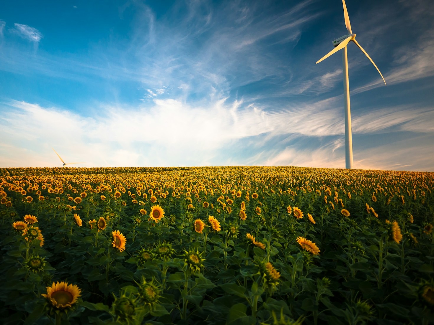El cambio climático explicado para las nuevas generaciones