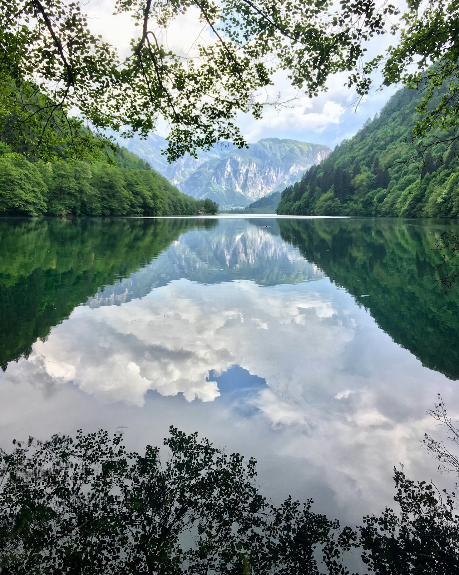 Generación Z: liderando la lucha por el cambio climático